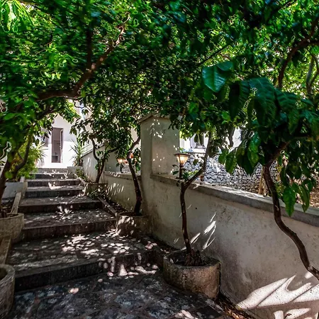 Pet Friendly In With Wifi Holiday home