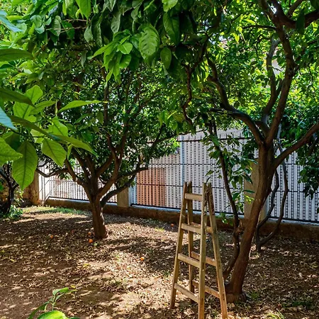 Three-bedroom In 別荘 *